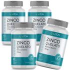 Zinco Quelato Bisglicinato 29mg Vegano Premium Lauton - Kit 4