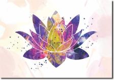 Conjunto Kit 5 Quadros Flor De Lotus Frases Los Quadros Quadro Decorativo Magazine Luiza