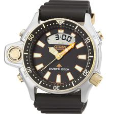 citizen tz31169f