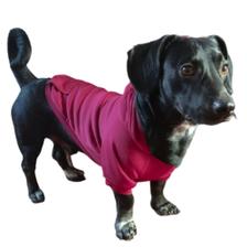 dog compression moletom com capuz