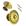 Dourado Gold