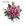 Pink Antigo