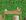 Placa Trevo Artificial