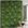 Jardim Vertical Fauna