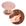 COBRE