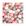 B1