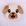 Cachorro