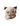 gato marrom