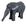 Elefante