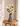 vaso cinza flor bege