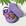 B, 01 lilas capivara, Flor
