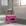 Toda rosa