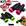 KIT COM 12