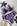 Lilas estampas