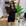 Preto