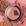 Rosa 69