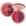 Rosewood e Plum