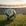 Palmeiras