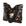 Borboleta negra