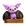 Roxo