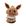 Mimikyu cos eevee