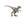 Atrociraptor
