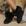 Preto