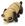 Cão marrom