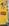 Amarelo a