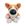 Corgi