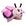 Fluttery butterfly