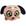Cachorro marfim