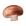 Mashroom 40x30cm