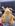 Dragonite