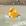 Patinho amarelo