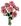 ROSA OUTONAL