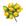 Amarelo escuro