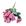 Pink Antigo