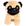 Pug