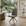 Sintetico Off White e Bougle Cinza