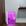 Roxo