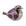 ROXO