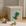 Dinossauro