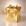 Dourado, M