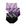 B roxo lp