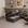 Couro Preto