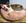 Rose Gold Pelúcia