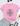 Ct, Rosa, 31005