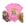 Ql6501, Rosa