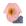 11462, Rosa